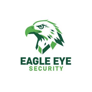 Modern Eagle Head Logo Design for Security Company