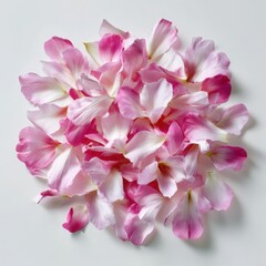 Pile of delicate pink and white rose petals isolated on white background