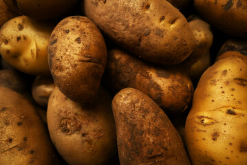 potato with dirt texture. Food ingredients background