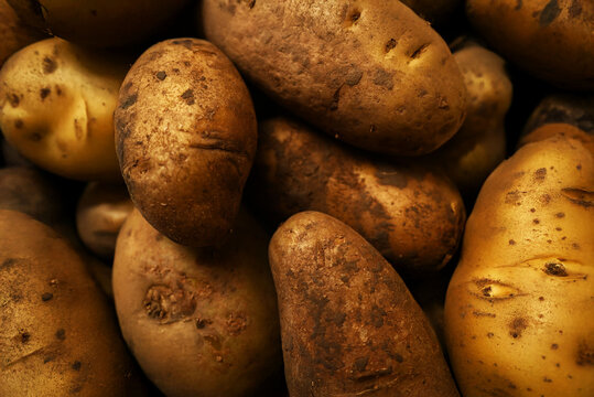 potato with dirt texture. Food ingredients background
