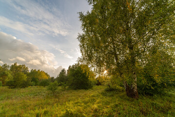 Zachód wśród pól