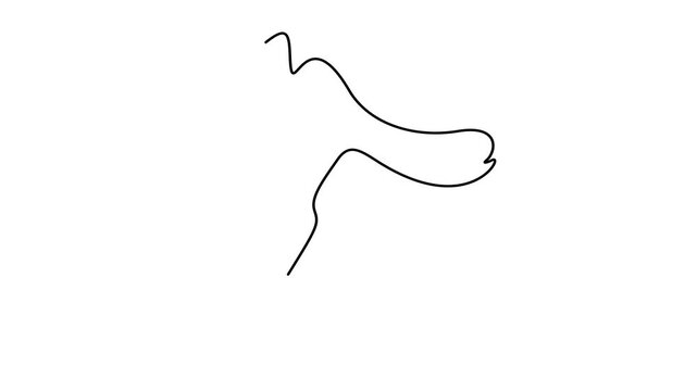 Animated self drawing of continuous line draw of sausage with fork at bbq party. Full length one line animation. 4K	