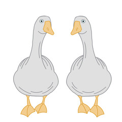 Two adorable white geese stand next to each other on a plain white background. The design features a simple and charming flat style, capturing their unique likeness.
