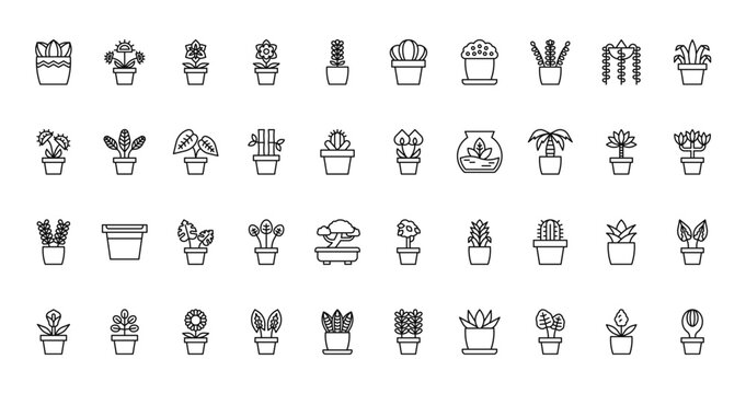 40 set of outline web indoor plants icons such as venus flytrap, paddle, carnivorous plant, laceleaf, jade, weeping fig, calla lily vector thin icons for report, presentation, diagram, web design,