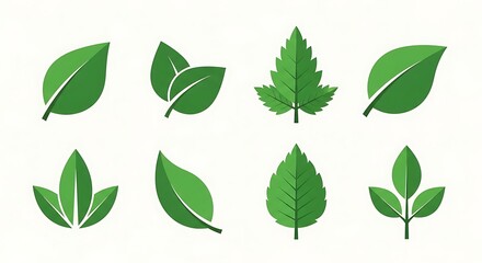 Collection of diverse green leaves in various shapes and sizes symbolizing nature and growth