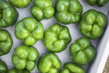 Fresh Green Bell Peppers in White Container - Colorful Sweet Peppers Variety for Healthy Cooking