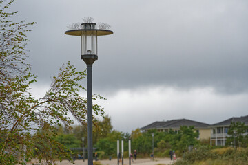 Park lamp with anti bird spikes lining the top roof