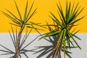Tropical plants against yellow and gray wall
