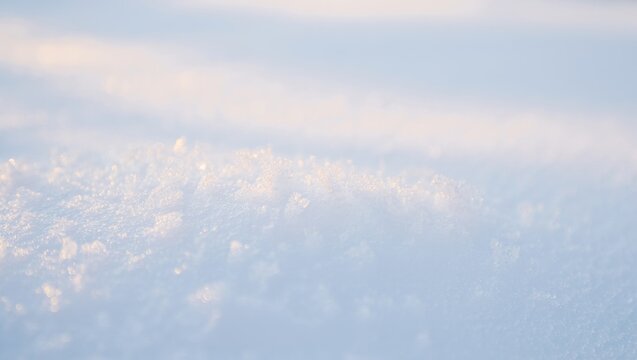Fresh snow covering the ground, sparkling with ice crystals and reflecting soft daylight, creating a pristine winter natural background and abstract texture