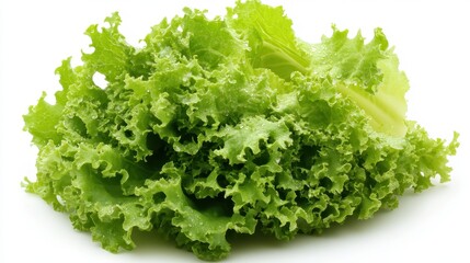 Obraz premium Close up of fresh green lettuce leaves on white background