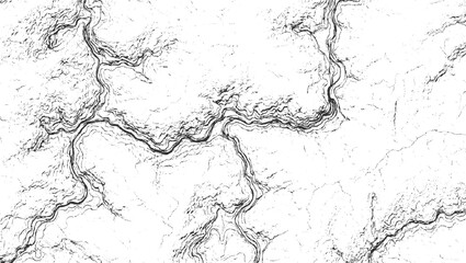 Black and white abstract topographic map lines and textured background vector