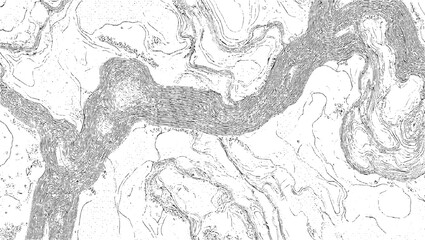 Black and white topographic map contour lines showing elevation changes and terrain features vector