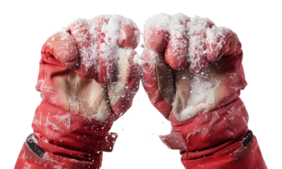 Ski gloves with a coating of fresh snow dust showcase the thrill of winter sports. Ideal for enjoying the snowy slopes and outdoor activities during the cold season