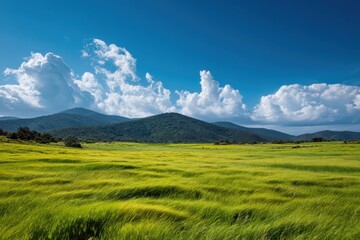 Fototapeta premium Serene landscape view with vibrant green meadow and rolling hills under bright blue sky and fluffy white clouds, perfect for nature lovers seeking tranquility and harmony in imagery