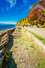 Autumn Walkway Lincoln Park 2