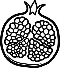 Pomegranate illustration, showcasing its seeds and unique internal structure in detail for simple coloring book