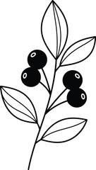 Illustration of a branch with berries, showcasing leaves and small round fruits for simple coloring book