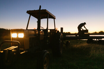 Farmer working with tractor at sunrise, loading boxes onto a trailer, showing rural agriculture lifestyle