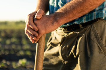Experienced farmer hands gripping a tool, representing hard work, dedication, and connection to the land and farming lifestyle