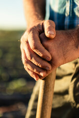 Farmer's hands gripping a wooden tool, representing hard work and dedication in agriculture
