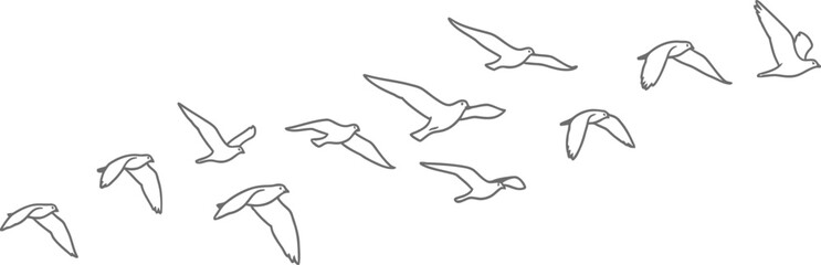 A flock of birds flies in formation against a white background.