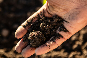 Hand holding dark organic soil, symbolizing agriculture, gardening, earth, and cultivating growth
