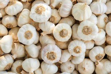 Fresh whole garlic bulbs filling the frame, creating a repeating pattern of healthy vegetable ingredient for cooking