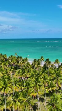 Northeastern Brazil Skyline At Sao Miguel Dos Milagres In Alagoas Brazil. Nature Landscape. Agriculture Scenery. Travel Destination. Northeastern Brazil Skyline In Alagoas Brazil. 