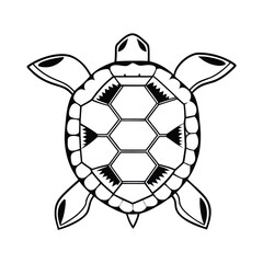 Obraz premium geometric turtle shell hexagon line art polygon 