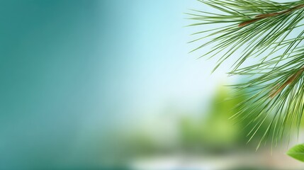 Obraz premium The branches of a blue spruce tree display clusters of light-colored pine cones among soft, blue-green needles, showcasing natural beauty