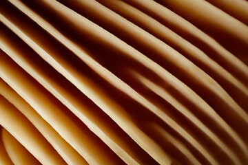 Obraz premium Macro close-up of Lactarius deliciosus mushroom gills showing warm tones, smooth lines, and natural abstract texture highlighting organic patterns in nature
