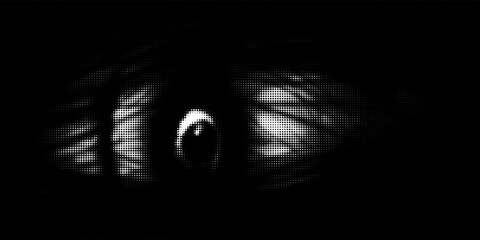 Dotted halftone gradient texture. Vanishing polka dot background. Repeating dots gradation pattern background. Black fading comic pop art overlay backdrop. Raster effect wallpaper. Eps10