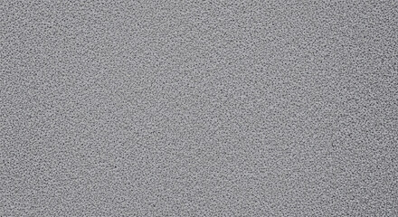 Texture of Granite: A close-up view reveals a smooth, textured expanse of gray granite, showcasing the subtle interplay of light and shadow on the stone's surface.