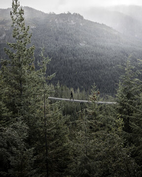 View of a lone figure walking on a bridge strung between towering evergreens against a backdrop of misty mountains, Squamish, British Columbia, Canada.