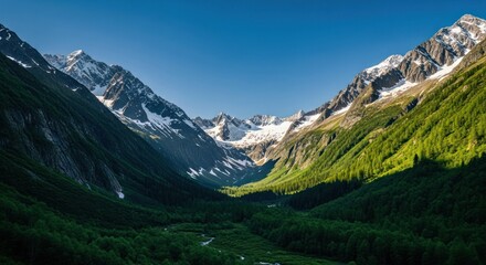 Verdant valley nestled between snow-capped mountains under clear blue sky