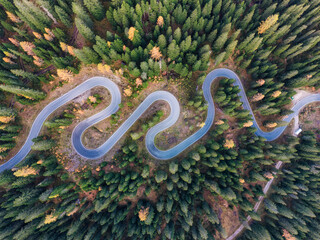 Winding asphalt snake road surrounded by autumn pine forest in Dolomites, Italy