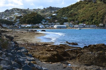 Driftwood after the storm at Island Bay
