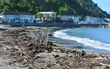 Driftwood tents on Island Beach