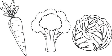 Illustration of Fresh Vegetables including Carrot Broccoli and Cabbage