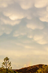 Mammatus clouds forming above hillside at golden hour