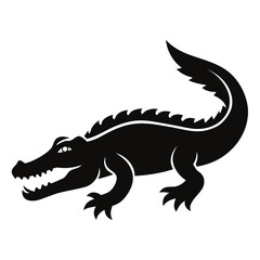 crocodile isolated on white