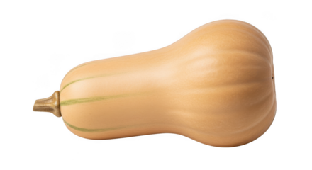 Butternut squash isolated on transparent background