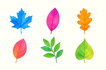 Watercolor set of six stylized leaves in bright, assorted colors on a white background