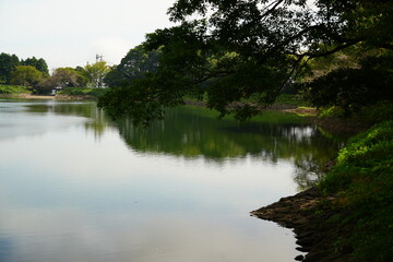 湖