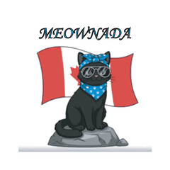 Black and white cartoon of a boy and cat with funny Halloween style