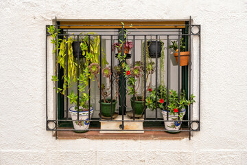 House window with bars and decorated with flower pots