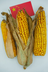 Corn cobs and the Flag of China. Import and domestic consumption. White background. Shallow depth of field.