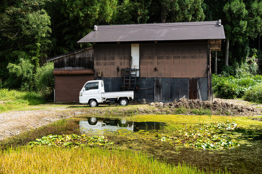 View of a white truck parked beside a barn-like building with a dark roof, reflected in a serene pond amidst golden reeds and lush greenery, Shirakawa, Gifu, Japan.
