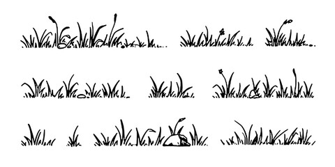 Grass doodle sketch style set. Hand drawn grass field outline scribble background. Sprout, flower, clover elements. 