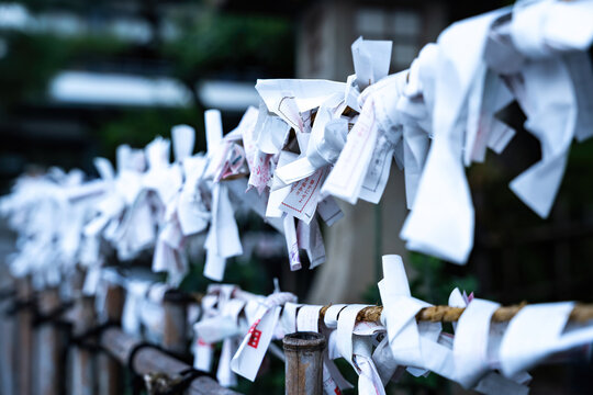 View of white paper fortunes tied to a bamboo fence, fluttering gently in the breeze with blurred greens beyond, Takayama, Gifu, Japan. - Powered by Adobe